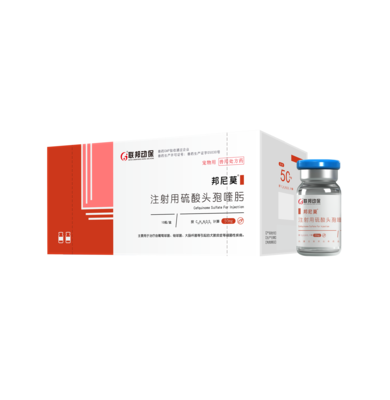 注射用硫酸头孢喹肟 (邦尼莫）